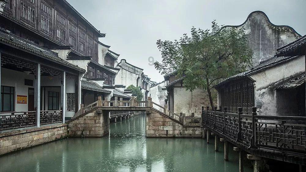 永泰盘谷巧破苦瓜“增收密码”幼苗成活率达95%